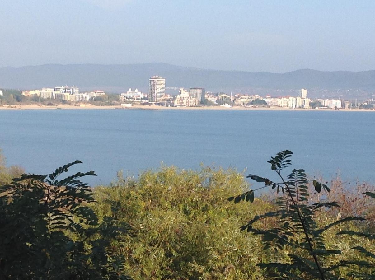 Flores Park Sunny Beach Dış mekan fotoğraf